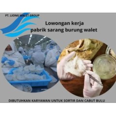 Logo PT LIONG WALET GROUP