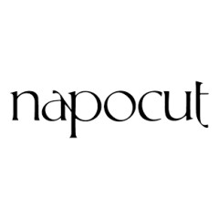 Logo NaPocut