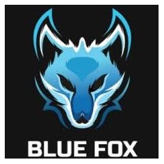 Logo Blue Fox