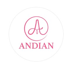 Logo andian.id